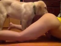 Teen girl gives her pussy to her puppy II part